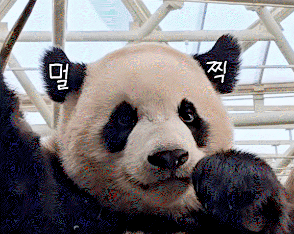 AAfksk.gif
