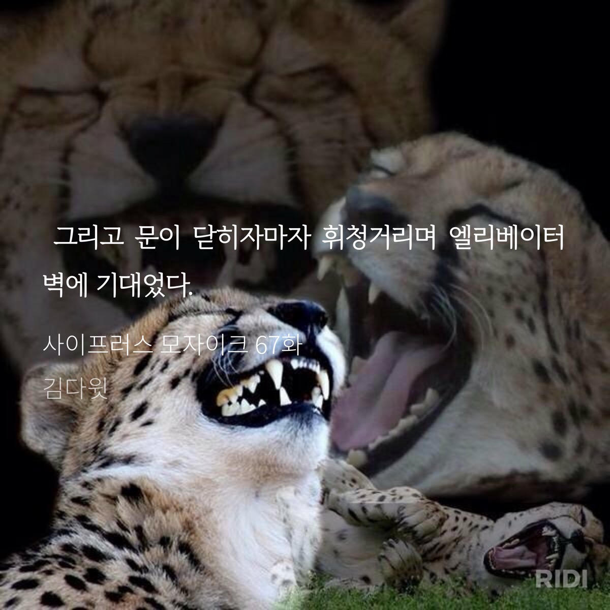 ACMBFB