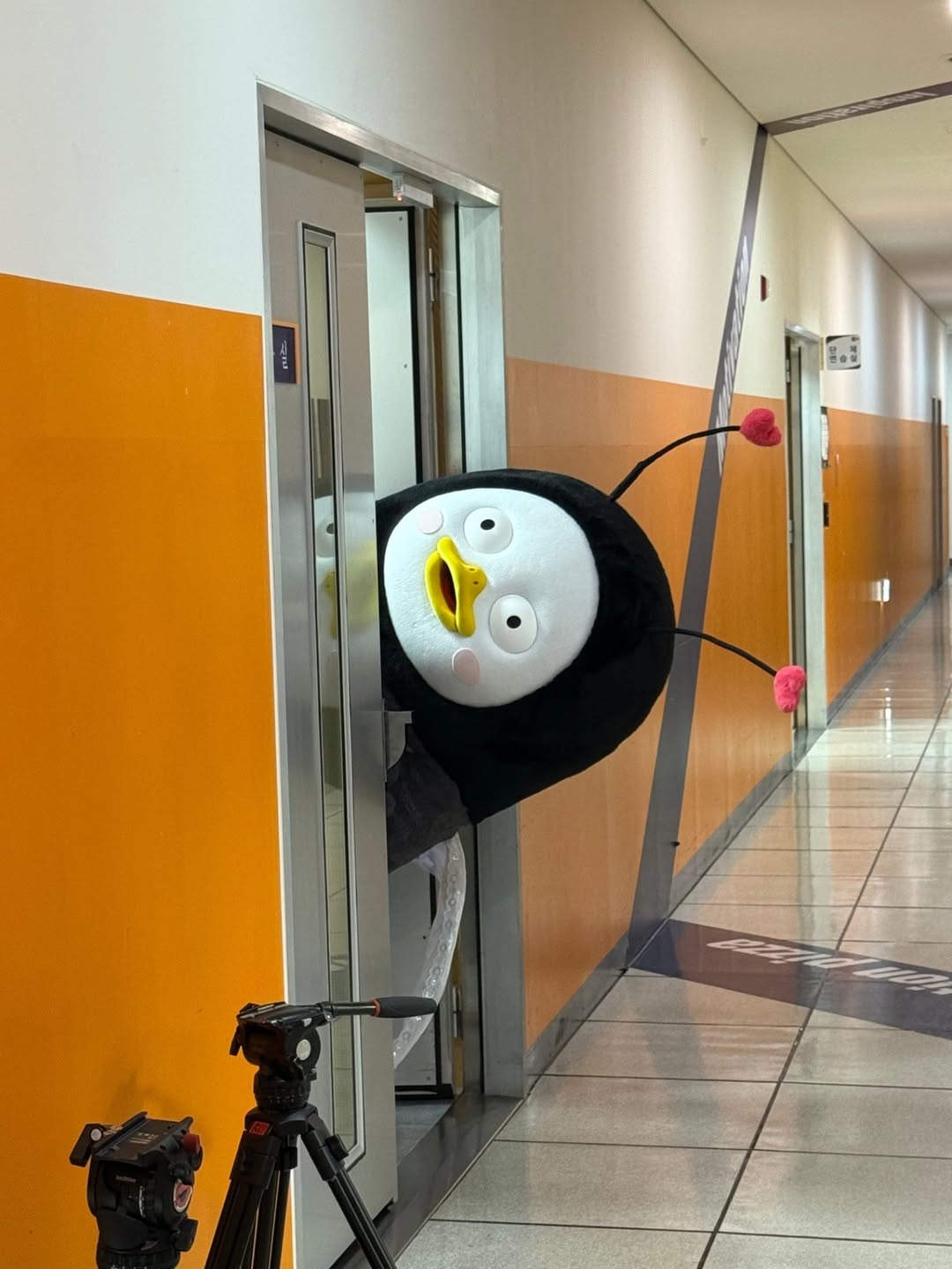 AFjpuu