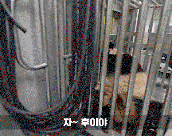 AIlvLw.gif