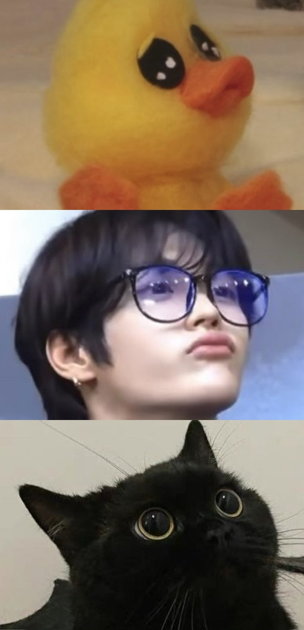 ALCnoy
