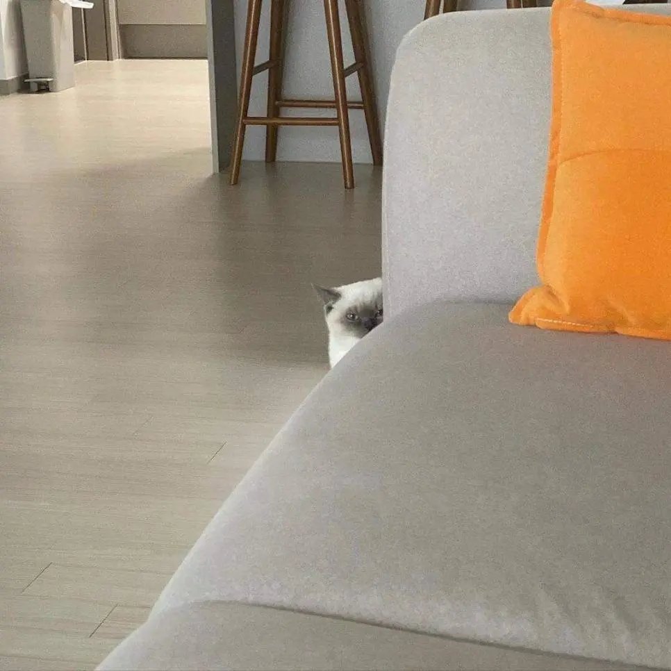 AMGFjG