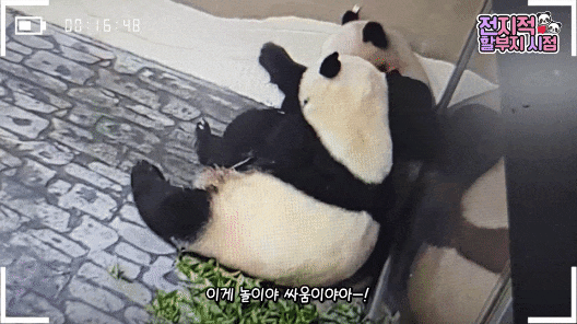 AOQaVj.gif