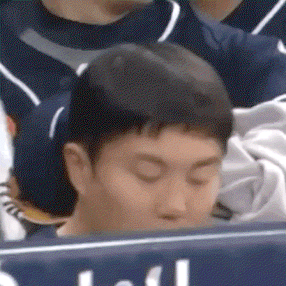 APDncv.gif