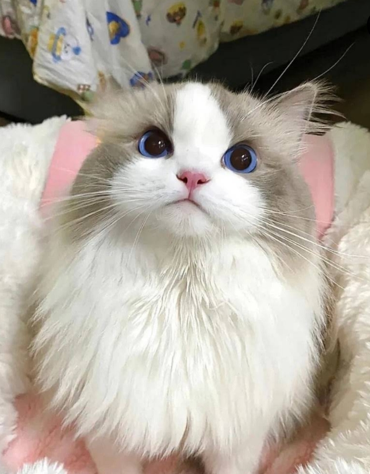 AQyFhs