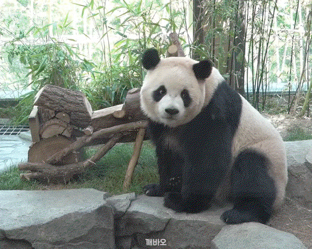 ARqKTd.gif