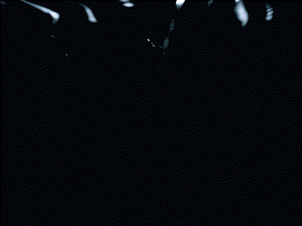 ARyUgB.gif