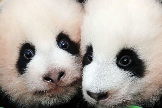 ASDJui