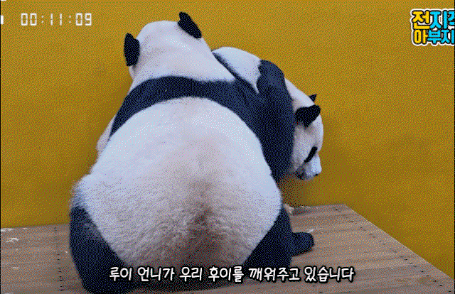 AShnTQ.gif