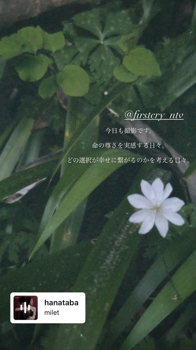 AUCLAe