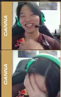 AVSapi