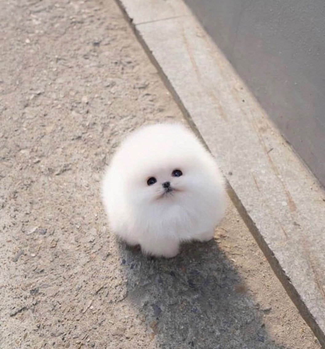 AYwCin