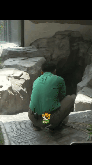 AZgjva.gif