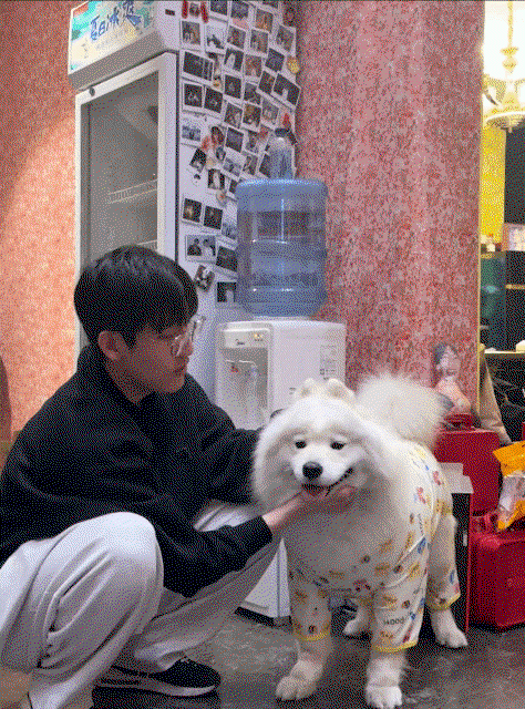 AZihUu.gif