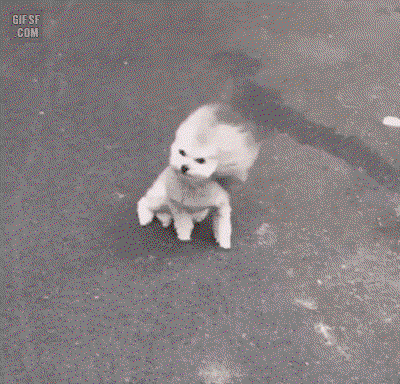 AaRWuR.gif