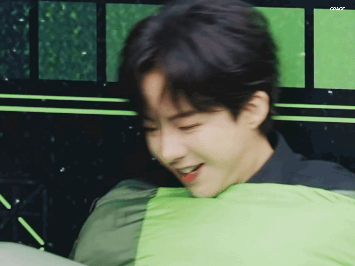 AaSchM.gif