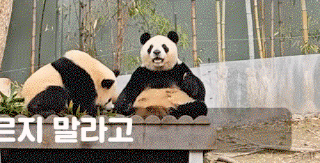 AauwYX.gif