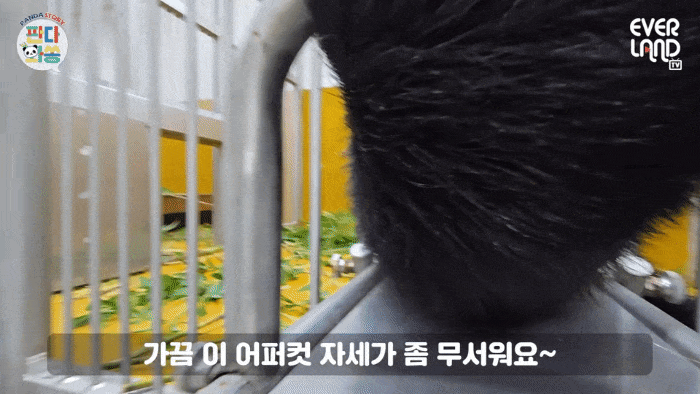 AawCbU.gif
