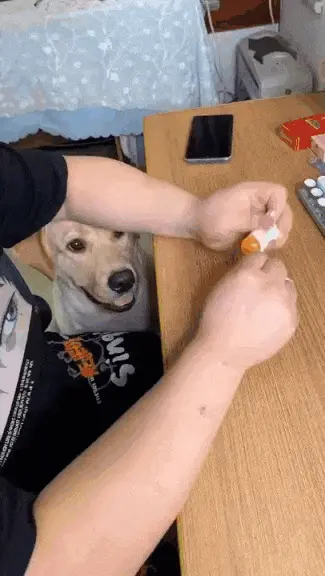AeKxNY