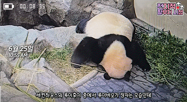 AfblAj.gif