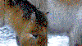 AgEGpZ.gif