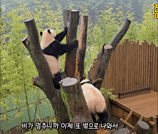 AhbbXv.gif
