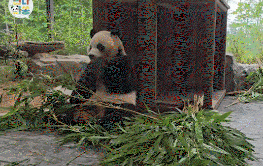 AiElLe.gif