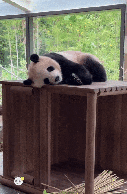 AkCRRh.gif