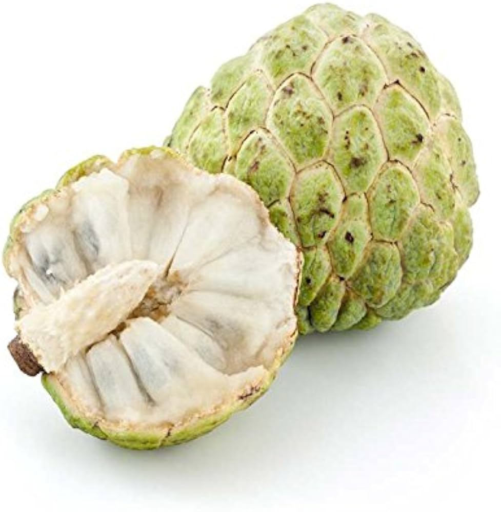 AkOgPR