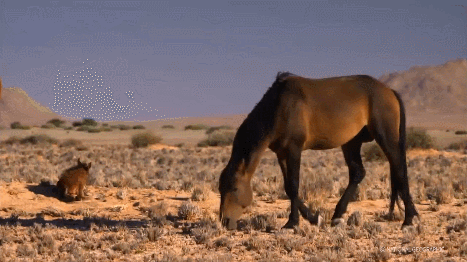 AkQljL.gif