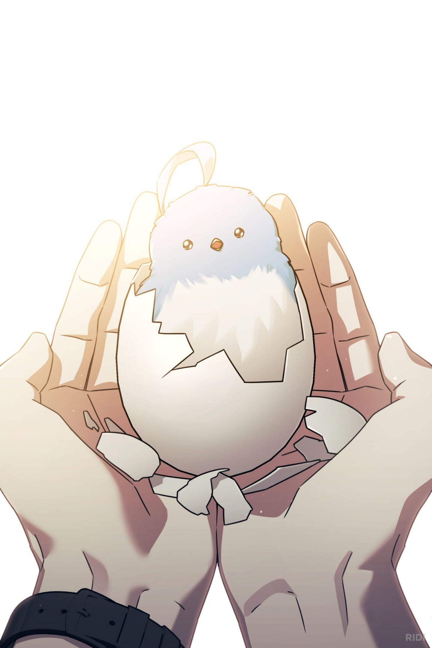 AmPiBi