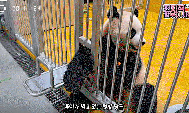 ApKwtm.gif