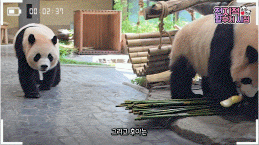 AqHVKP.gif