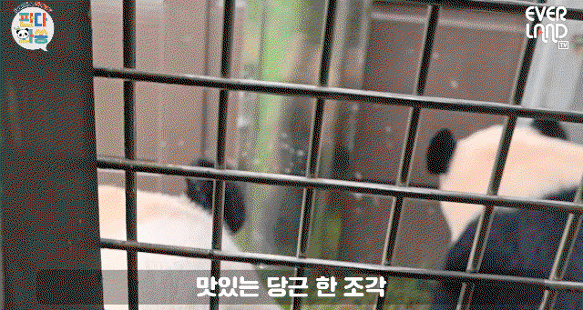 ArUTJr.gif