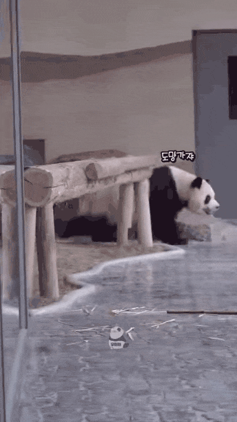 AsWNko.gif