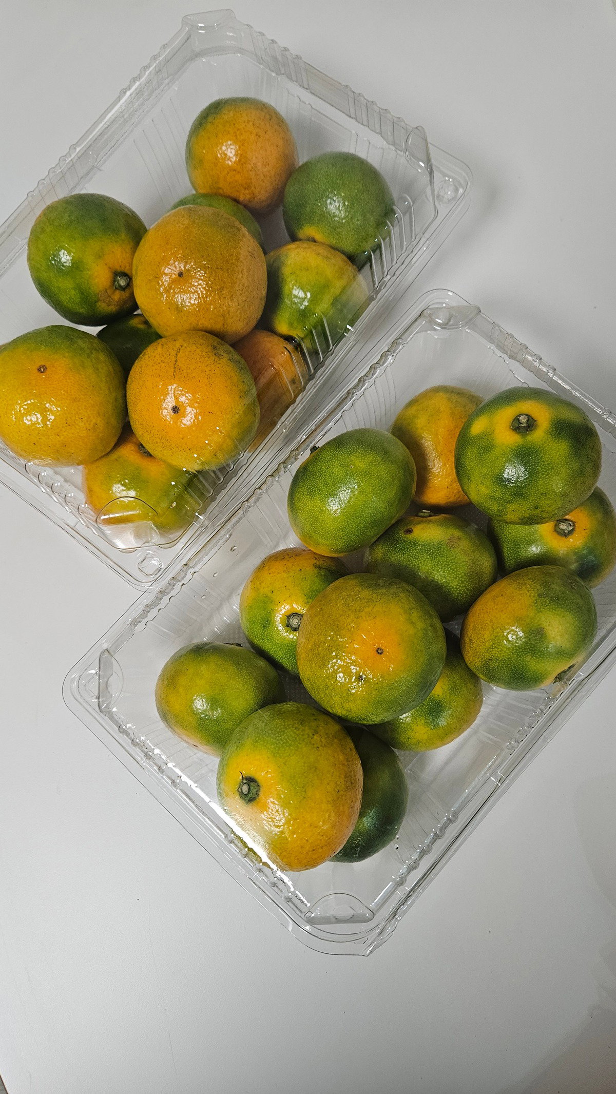 Azeppa