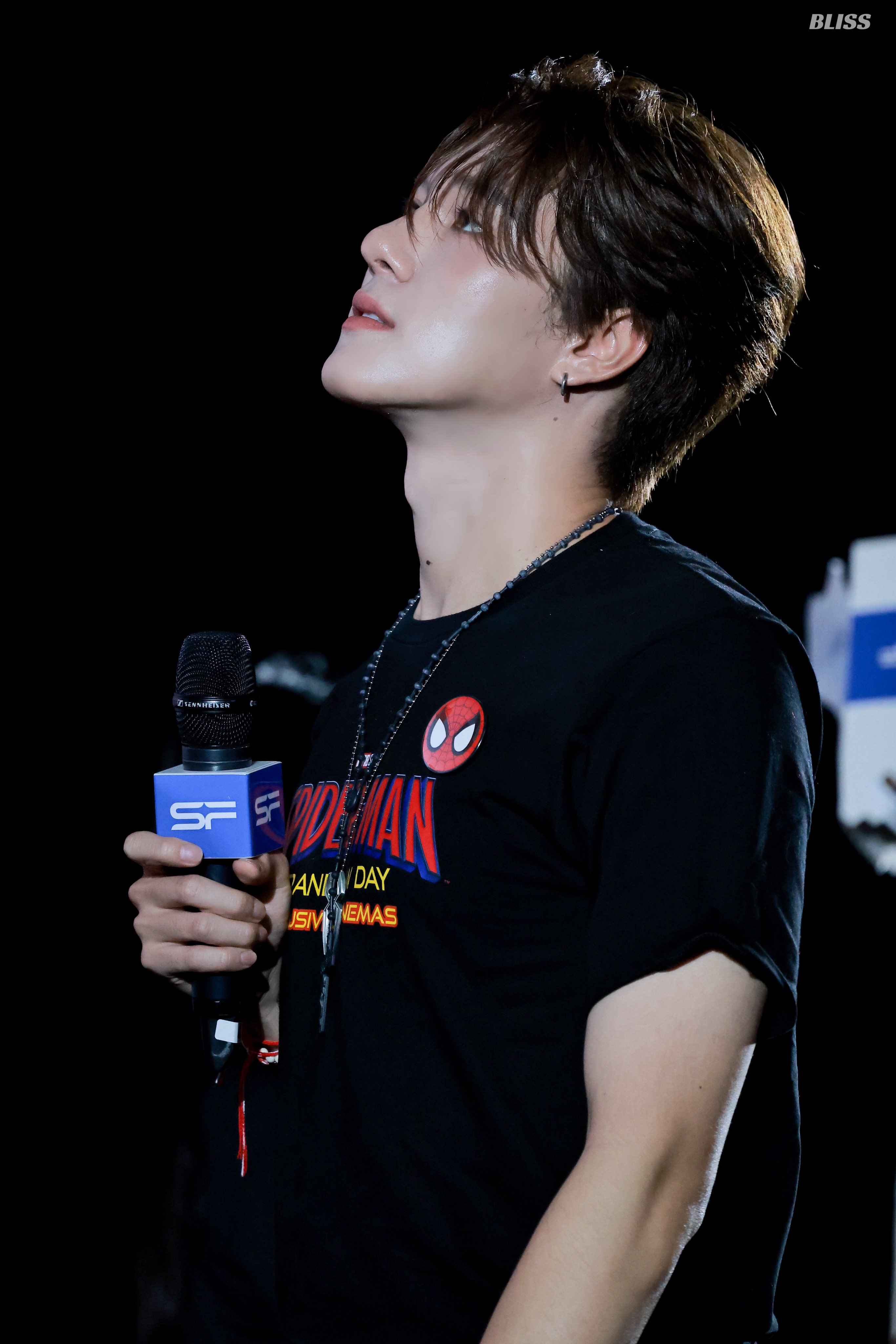 BABSVn