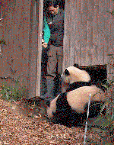 BANriT.gif