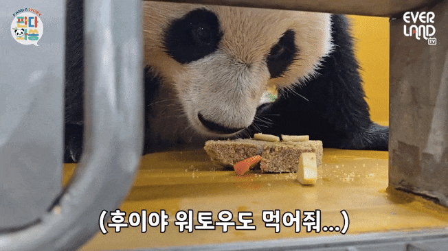 BBMeBj.gif