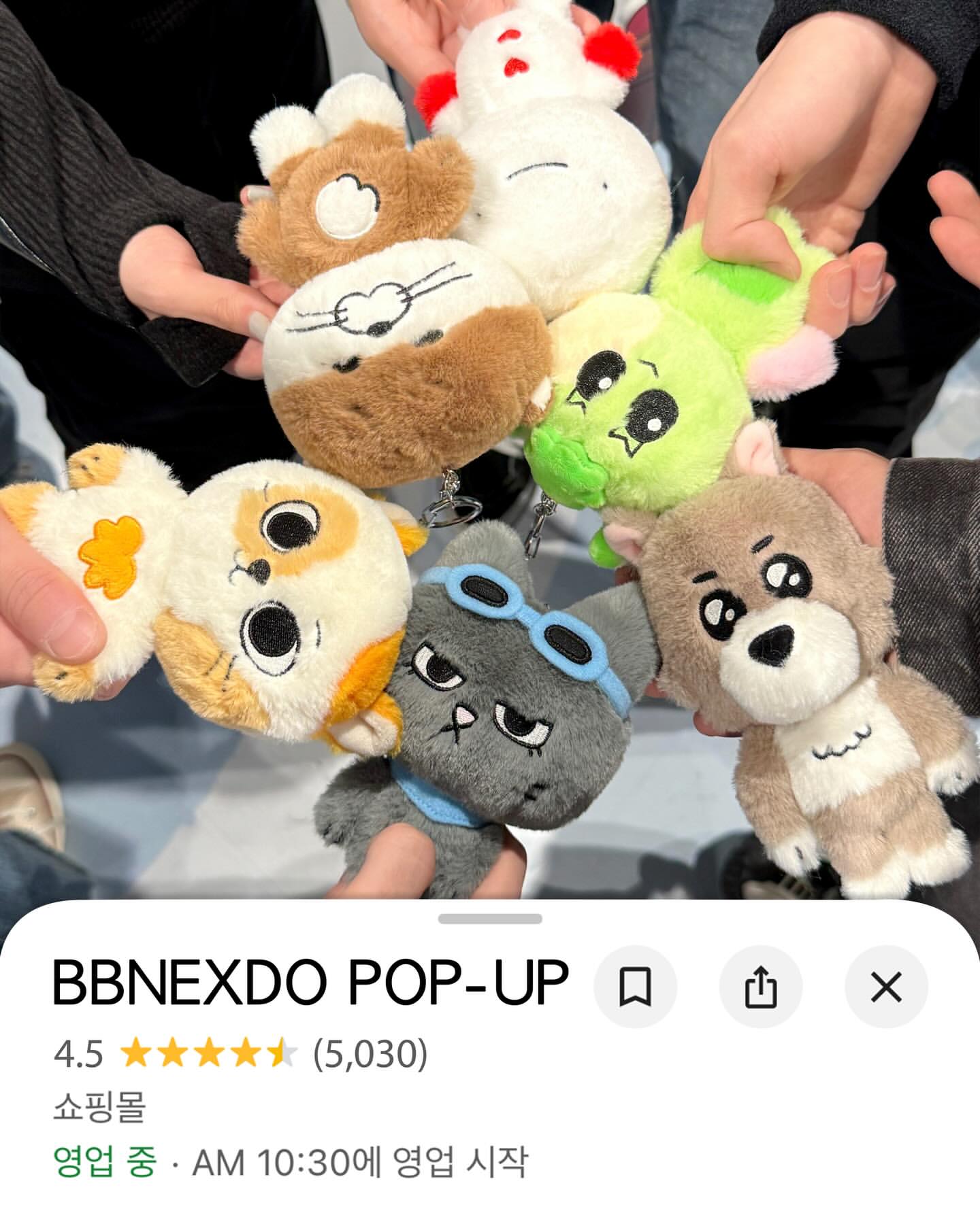 BCeMOa
