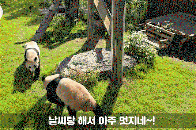 BCqdaG.gif