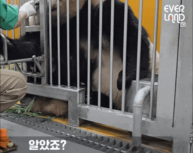 BDZmJy.gif