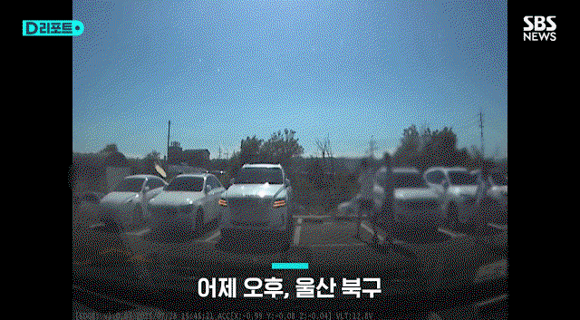 BFeCYc.gif