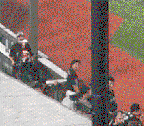 BFgUhE.gif