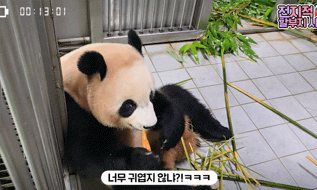BFvQUu.gif