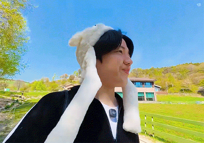 BHOqOa.gif
