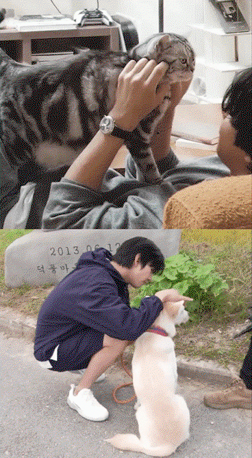 BHtEGz.gif