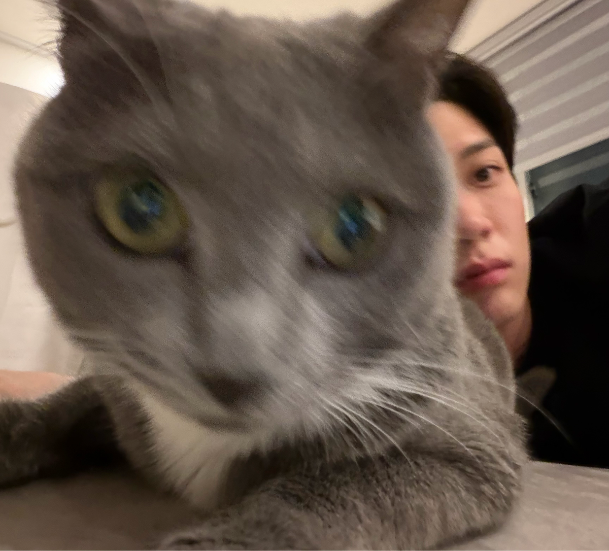 BIfZqt