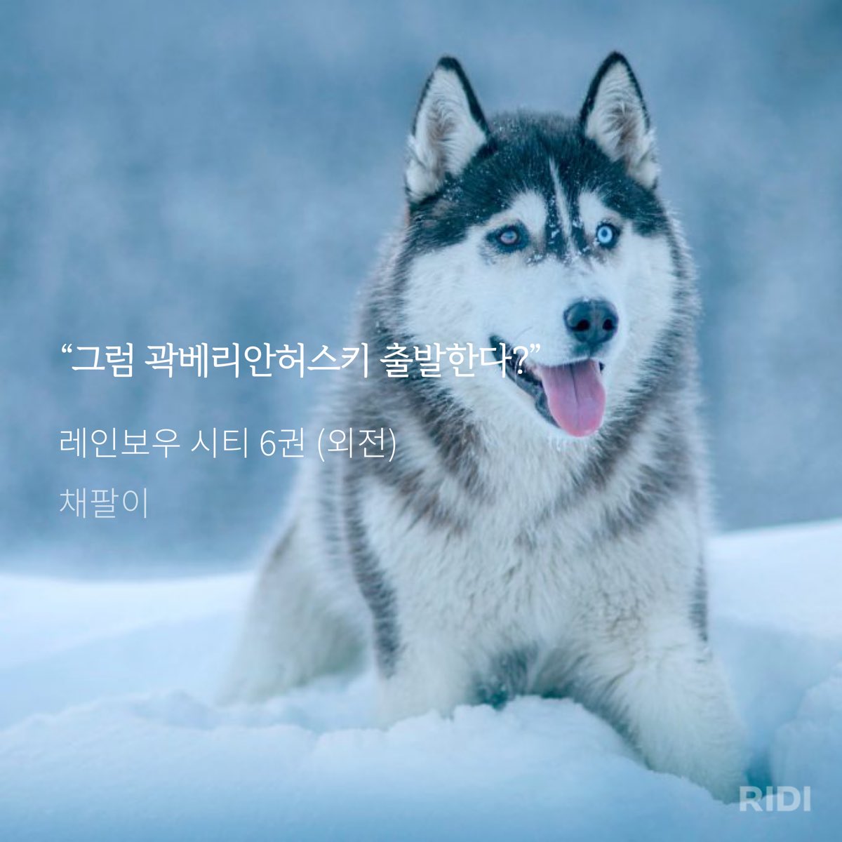 BJvqWr