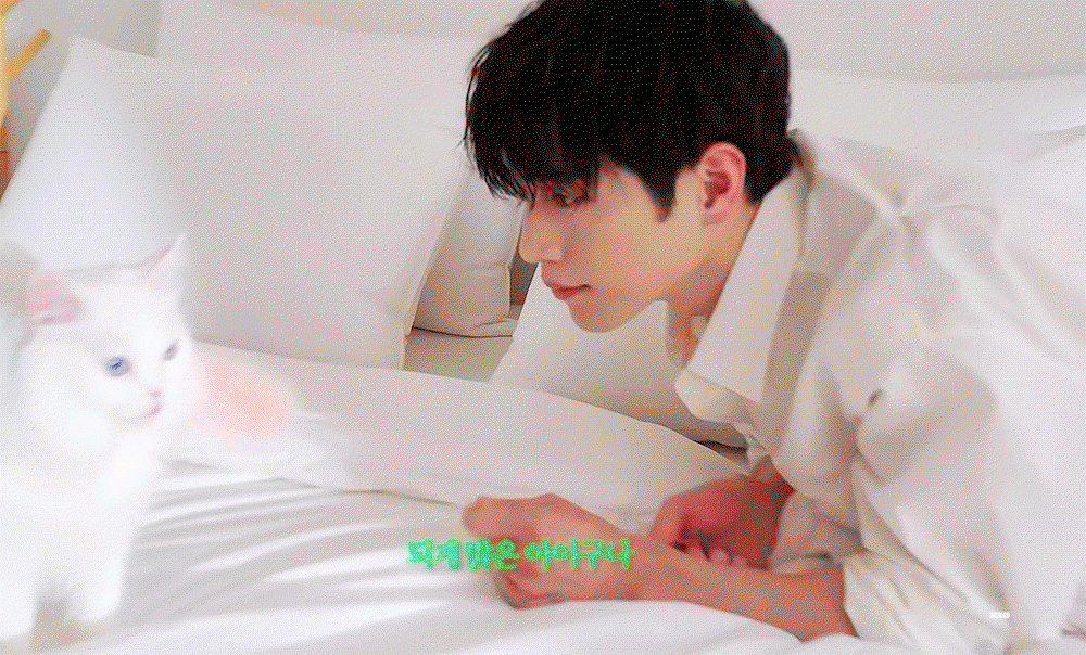 BLbCWM.gif